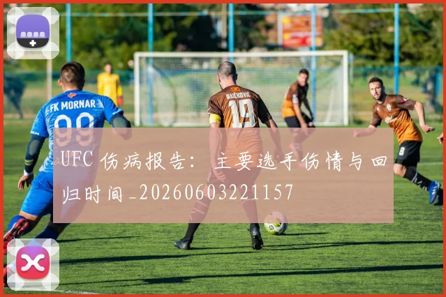 UFC 伤病报告:主要选手伤情与回归时间_20260603221157